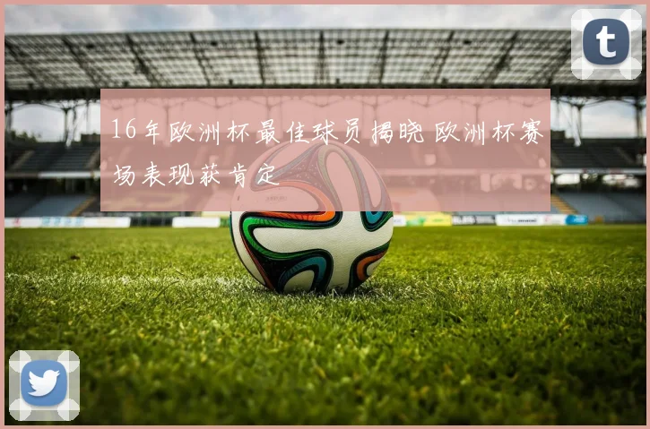 16年欧洲杯最佳球员揭晓 欧洲杯赛场表现获肯定