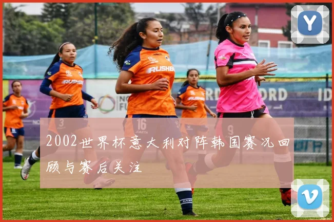 2002世界杯意大利对阵韩国赛况回顾与赛后关注